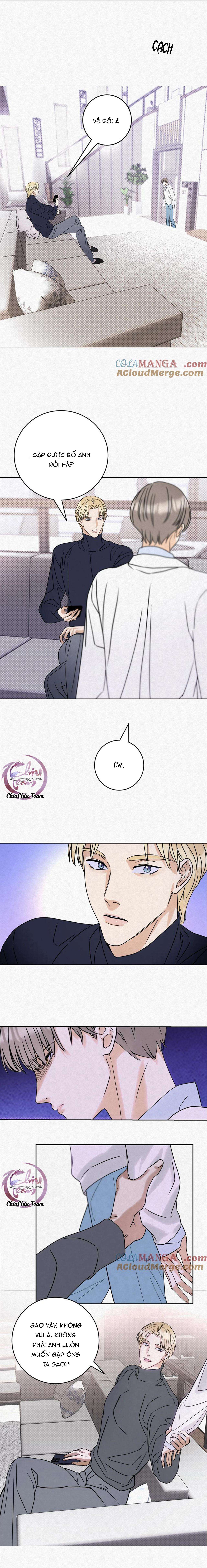 anh trai rẻ tiền của tôi chapter 15 6