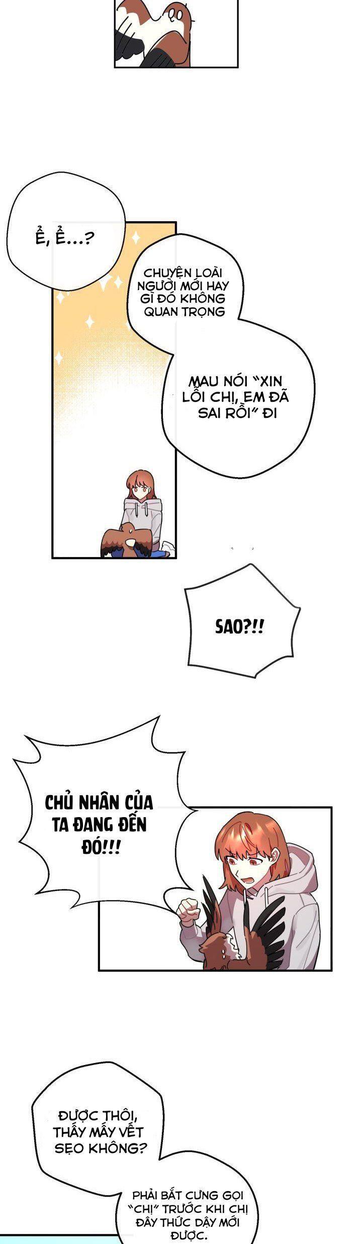 red and mad chapter 3 28