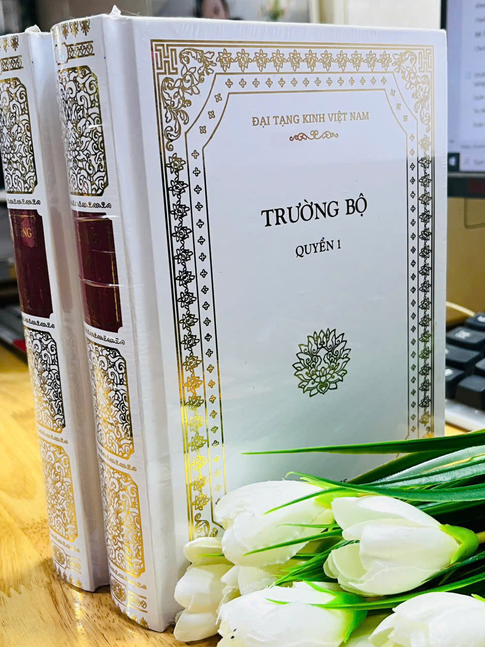 Sách - Trường Bộ Kinh (Trích nguyên tác trong bộ 37 cuốn - Đại Tạng Kinh Việt Nam, bìa cứng)