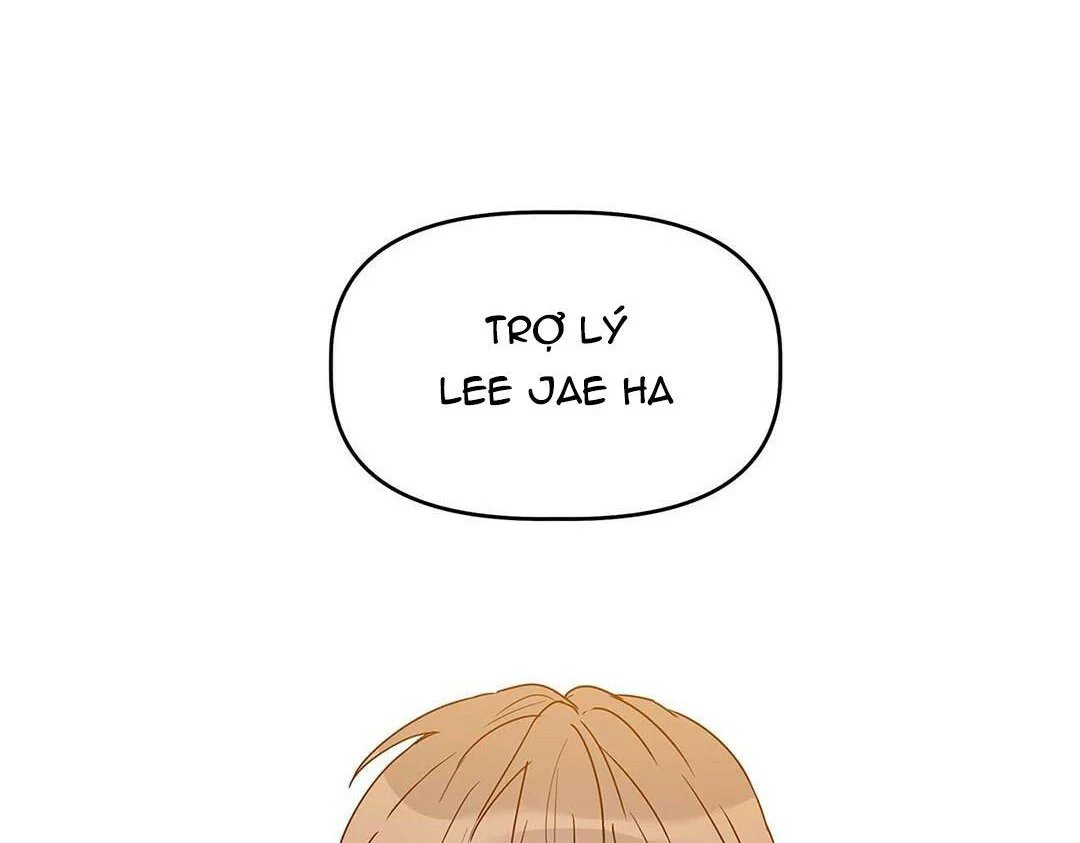 guide cấp b chapter 13 4