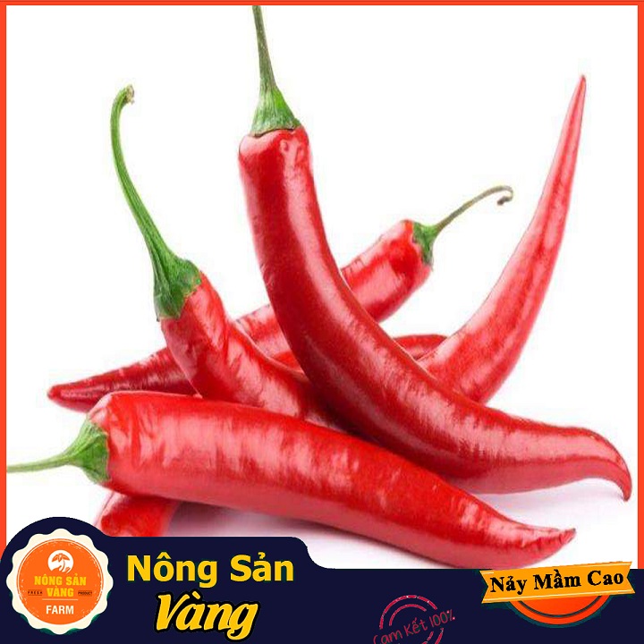 Hạt giống Ớt Hiểm - Nông Sản Vàng