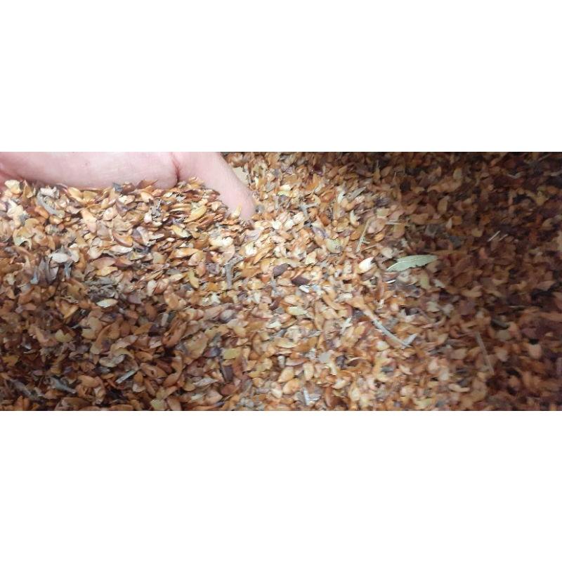 250 gram hạt bằng lăng tím giống