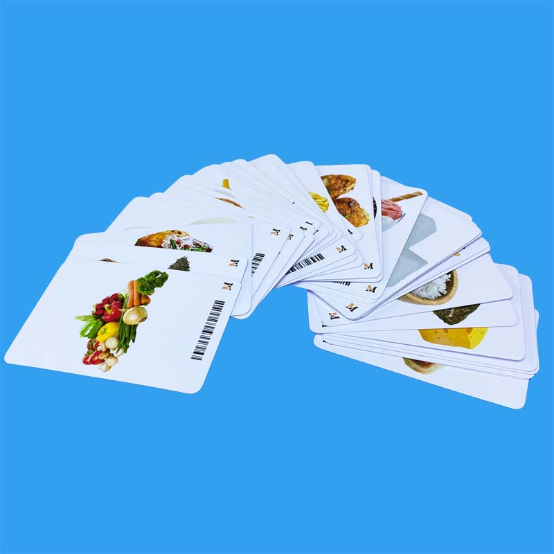 10 bộ thẻ flashcard 10 chủ đề tiếng Anh cho bé, hình ảnh sinh động, đặc biệt có phát âm