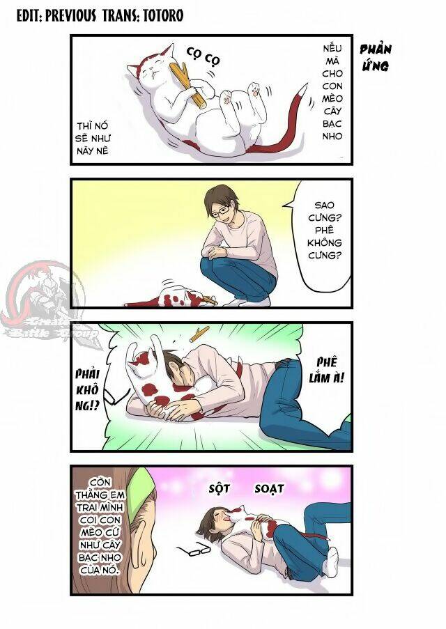 cat is silver vine chapter 1 2