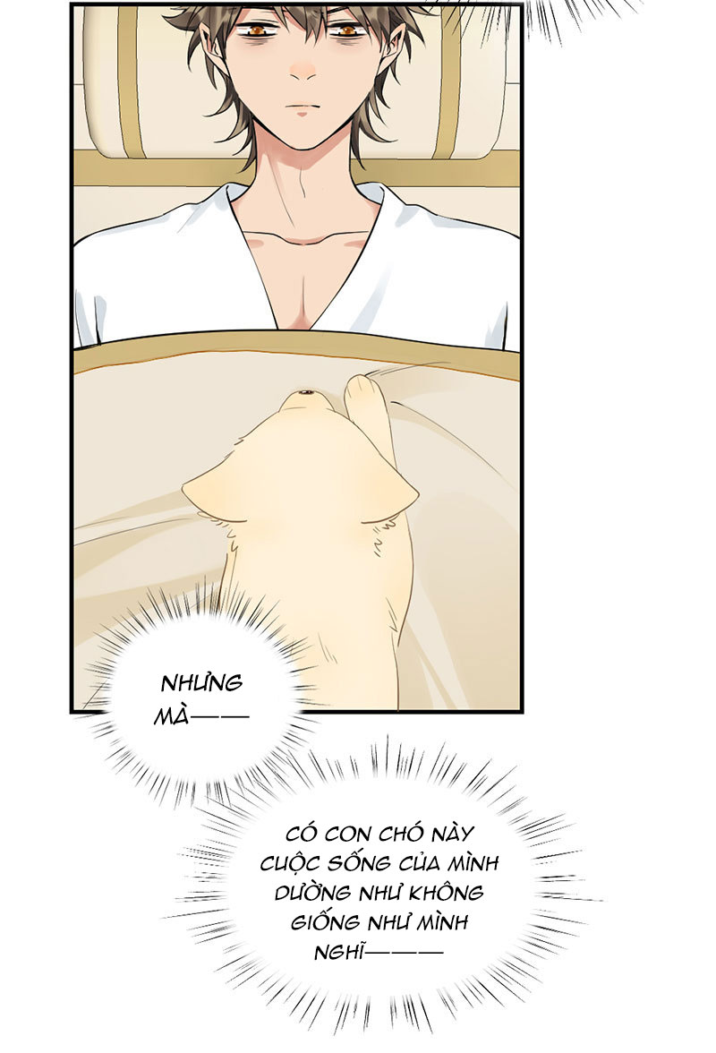 lục châu ca đầu chapter 4 30