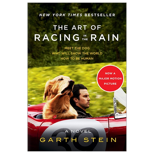 The Art Of Racing In The Rain Tie-in