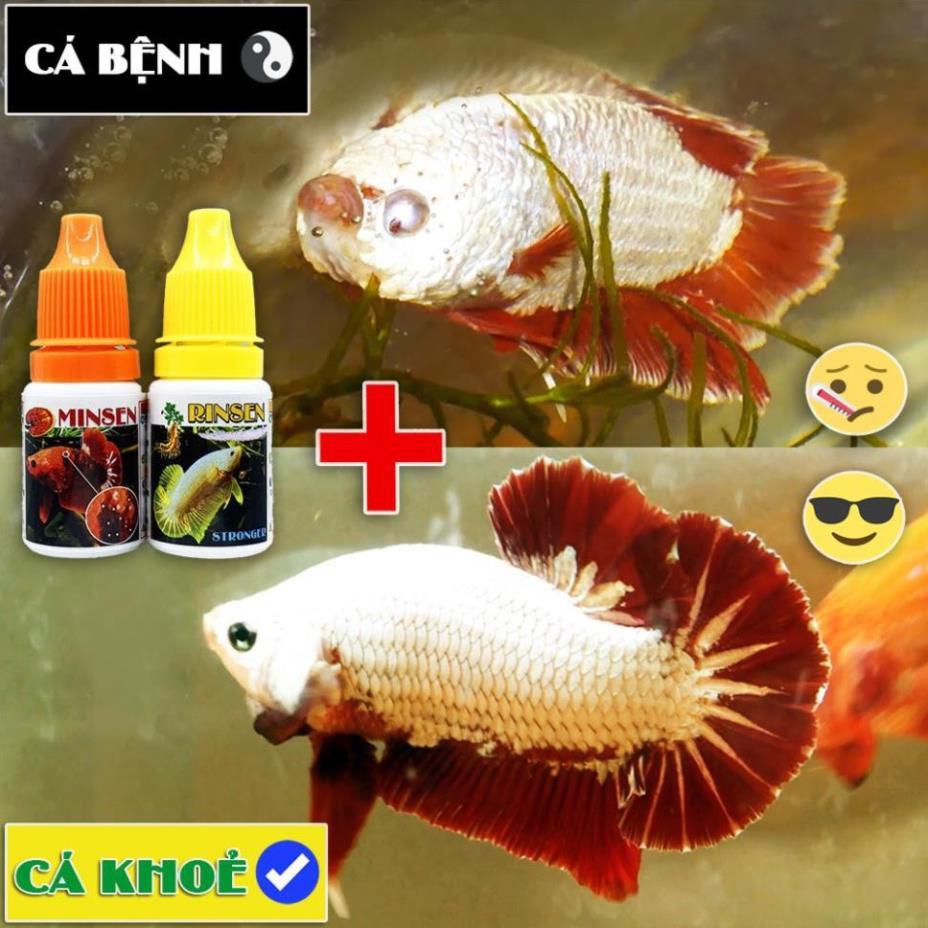 Nấm MINSEN - Chuyên dưỡng cá, bảo vệ toàn diện