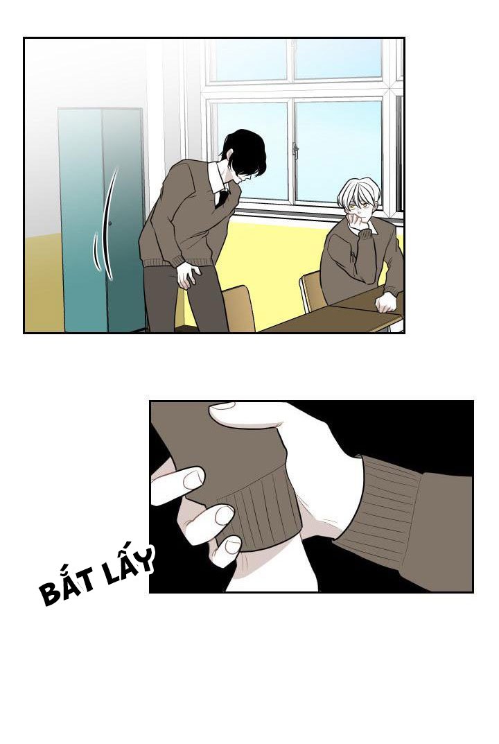 câu lạc bộ câm lặng chapter 4 33