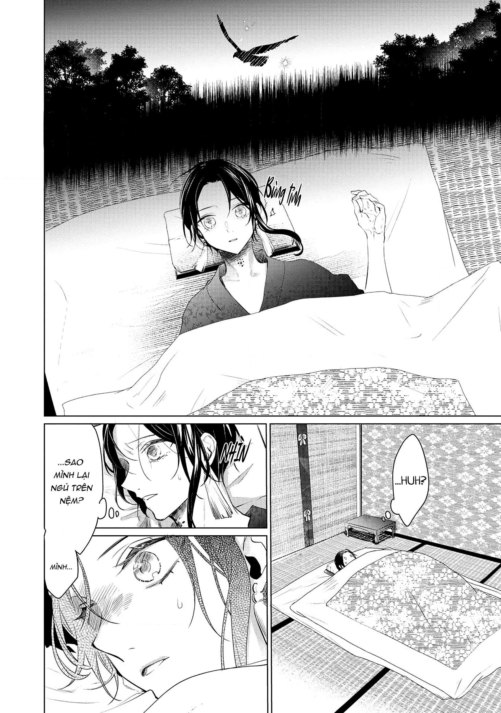 vị thần diều hâu & tế phẩm đáng thương chapter 2 28