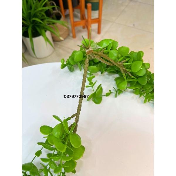Dây leo giả cúc tần ấn độ Lá To dài 1m- Cây giả