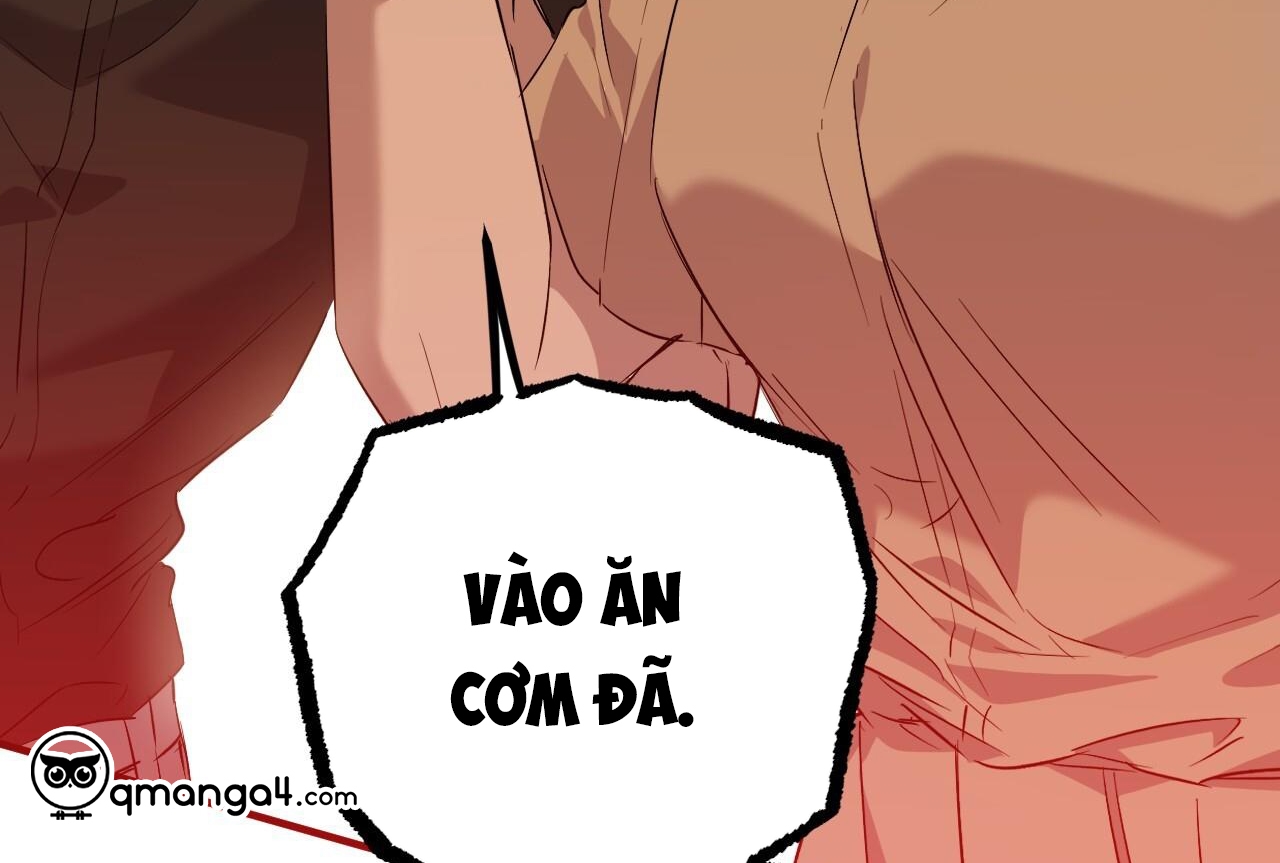 những chú thỏ của hapypy chapter 57 210