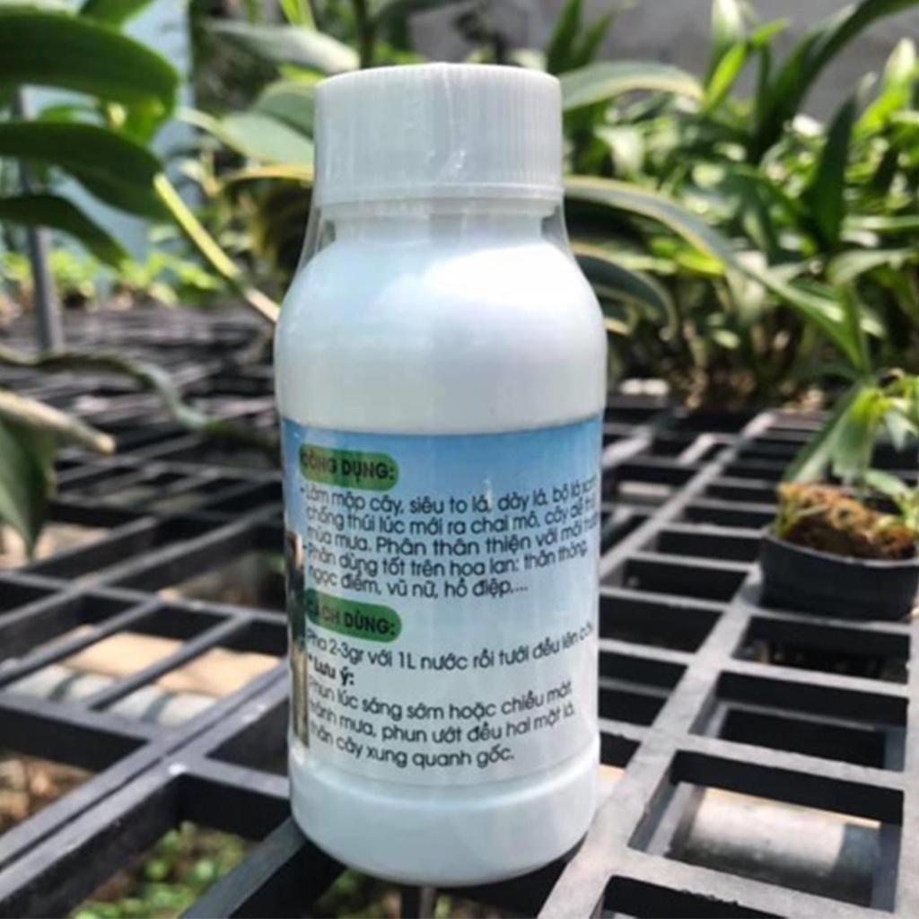 Phân bón mập thân lá mít - mập cây , siêu to lá , dày lá - Chai 100g