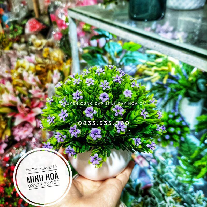 Chậu Hoa Gỉa Mini Trang Trí Bàn Học, bàn Làm Việc, văn phòng. Kích thước 15 cm * 17 cm. Đã kèm chậu. Hàng có sẵn