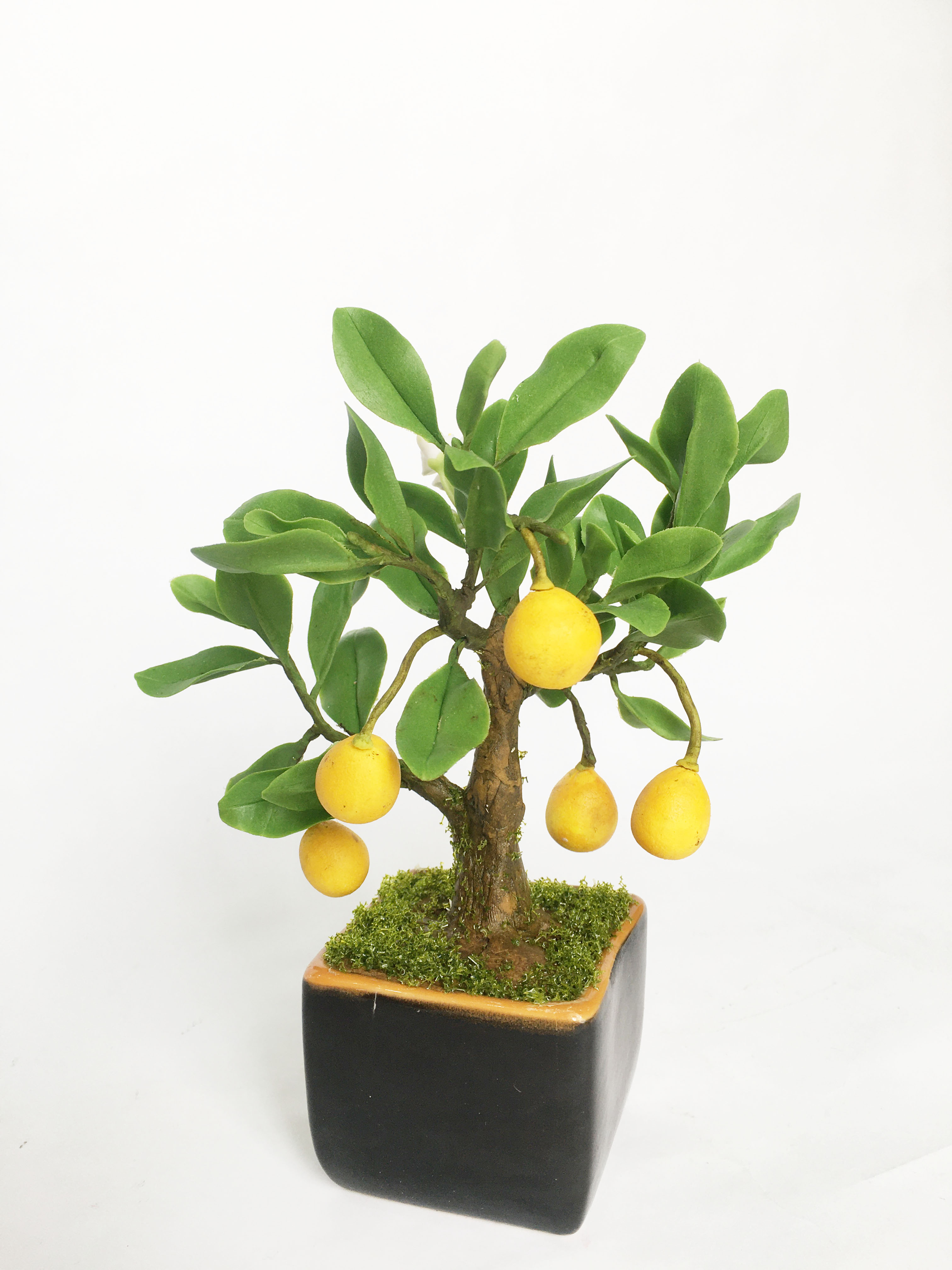 Chậu hoa đất sét mini- Bonsai bưởi - Quà tặng trang trí handmade