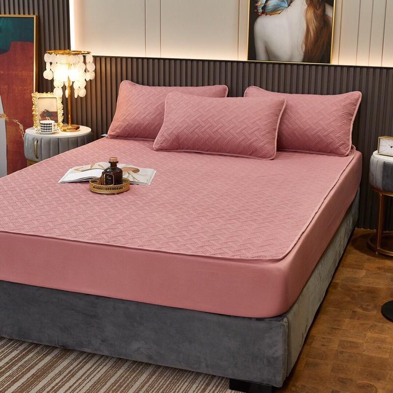Ga bọc nệm cotton chống thấm, thảm bo chun cotto chống thấm kháng khuẩn thế hệ mới