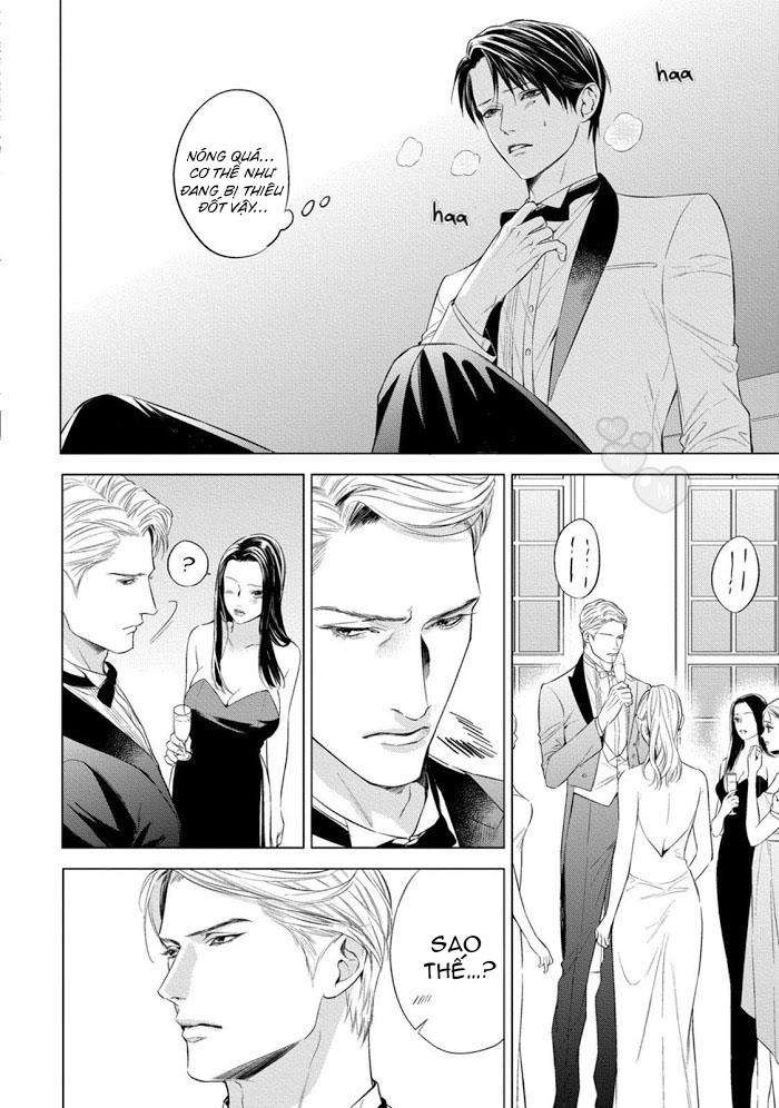 cô dâu của alpha chapter 1 12