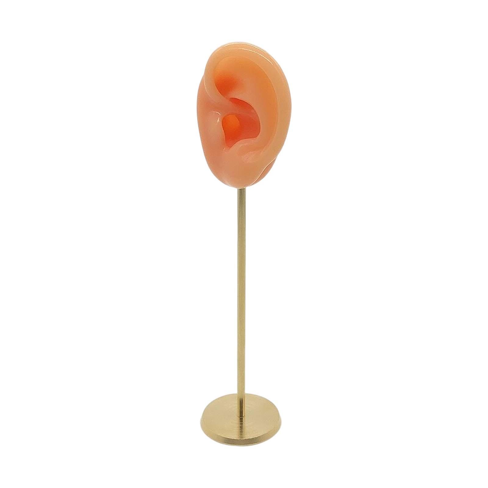Silicone Ear Molds Earring Display Stand Photography Display Props Showcase