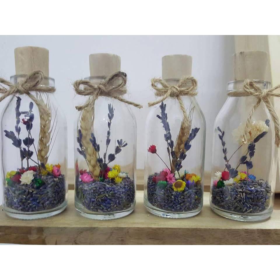 Lọ nụ Oải Hương Lavender mix snowy flower hoa tuyết các size