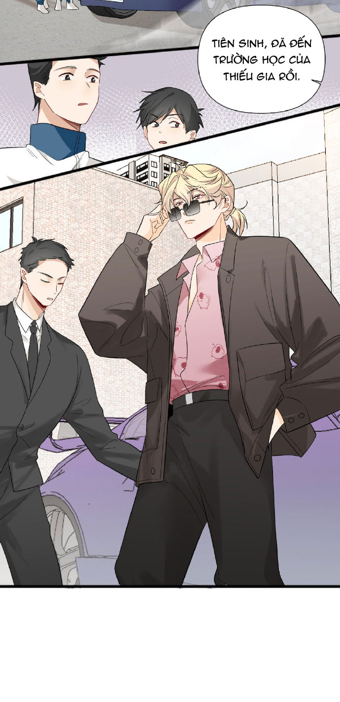 mỗi ngày đều muốn đứng hạng nhất chapter 20 39