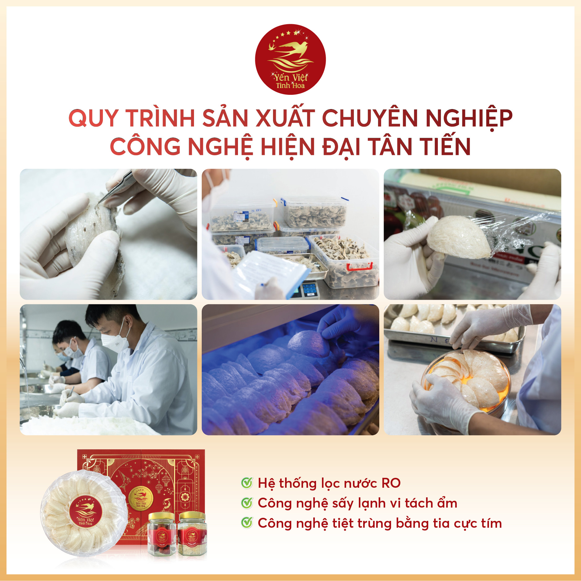 Tổ yến rút lông thượng hạng 100 gram Yến Việt Tinh Hoa  - Hàng chính hãng