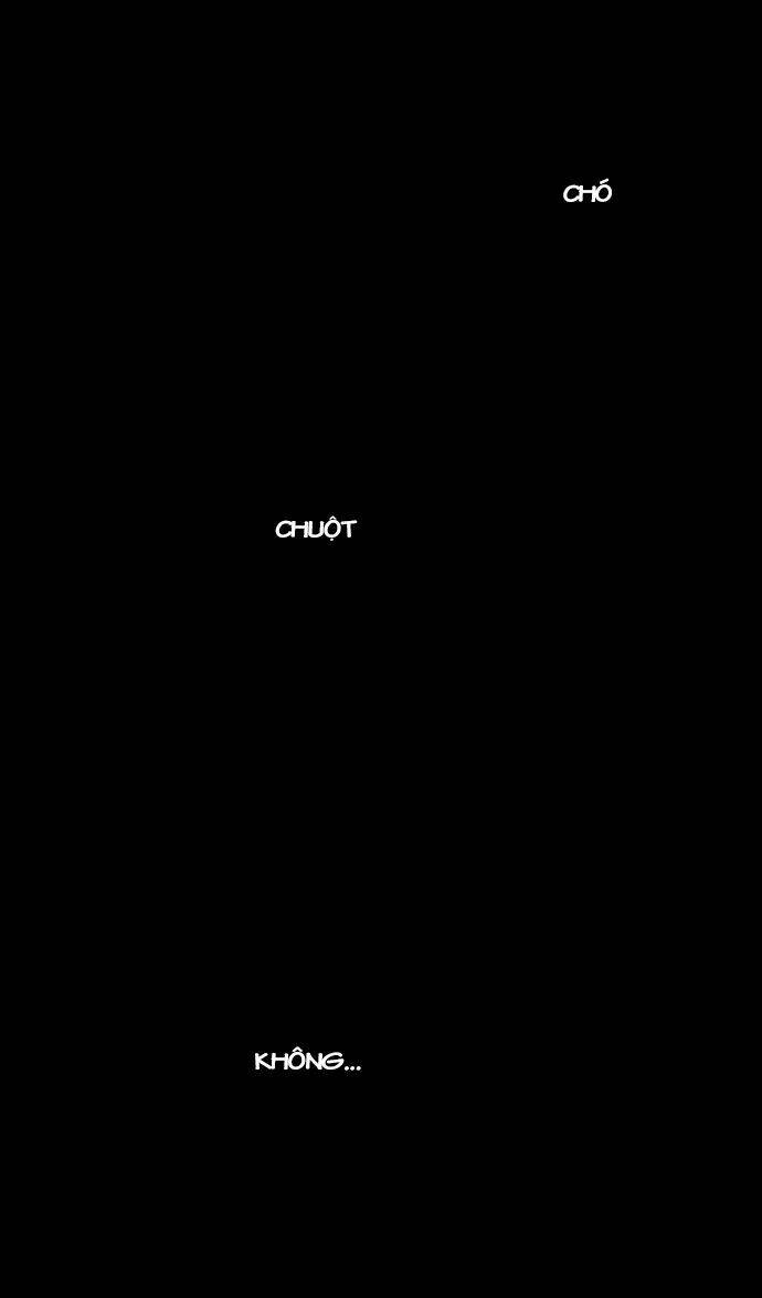 người máy hủy diệt chapter 17 42