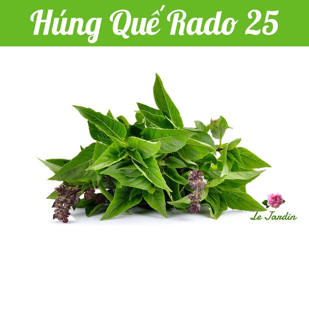 Hạt giống Rau Quế lá to Rado 25 gói 10gr