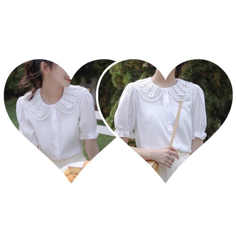 Áo sơ mi trắng phối cổ ren style Hàn hàng thiết kế