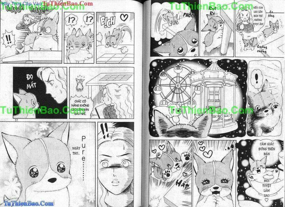 chó con mo mo chapter 5 29