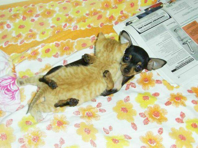 3x3 eyes chapter 89 18