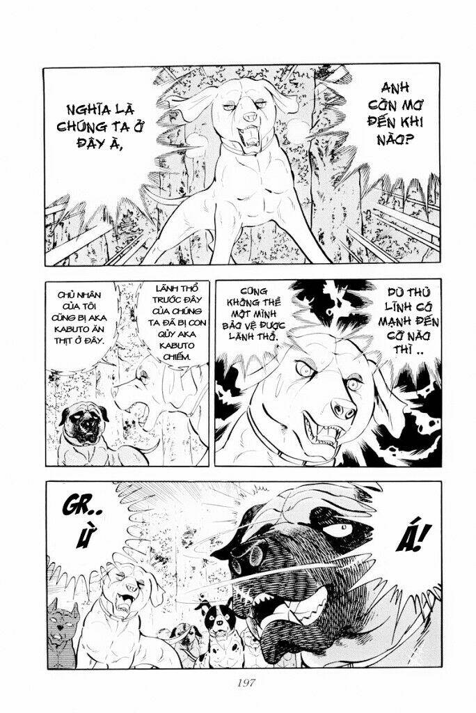 chú chó có nghĩa - ginga nagareboshi gin chapter 29.1 11