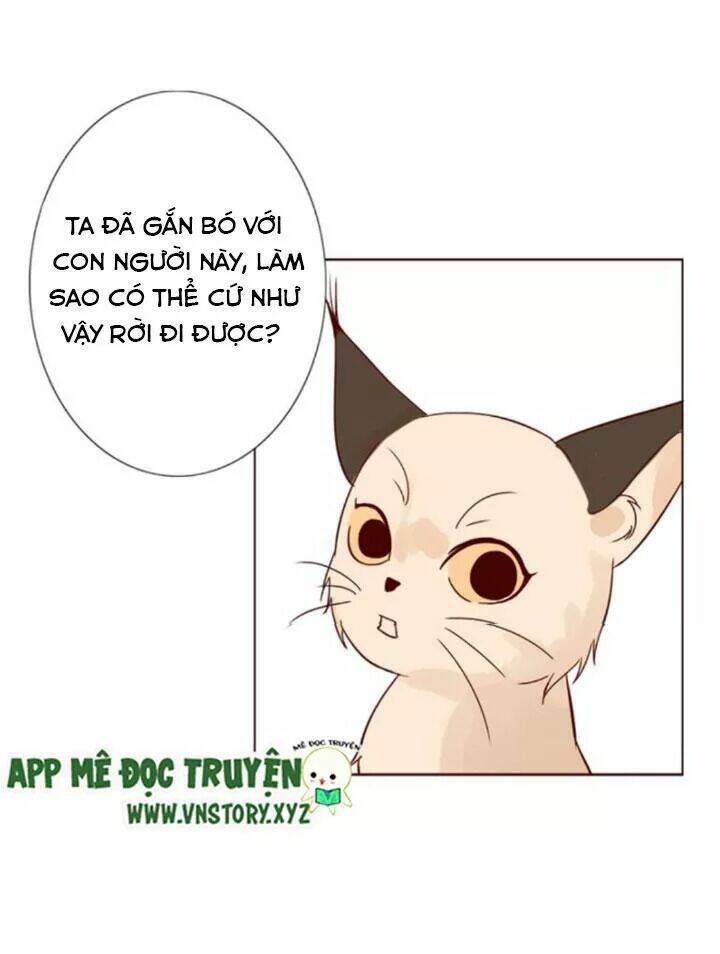 hồ tiên này không tin được chapter 10 9