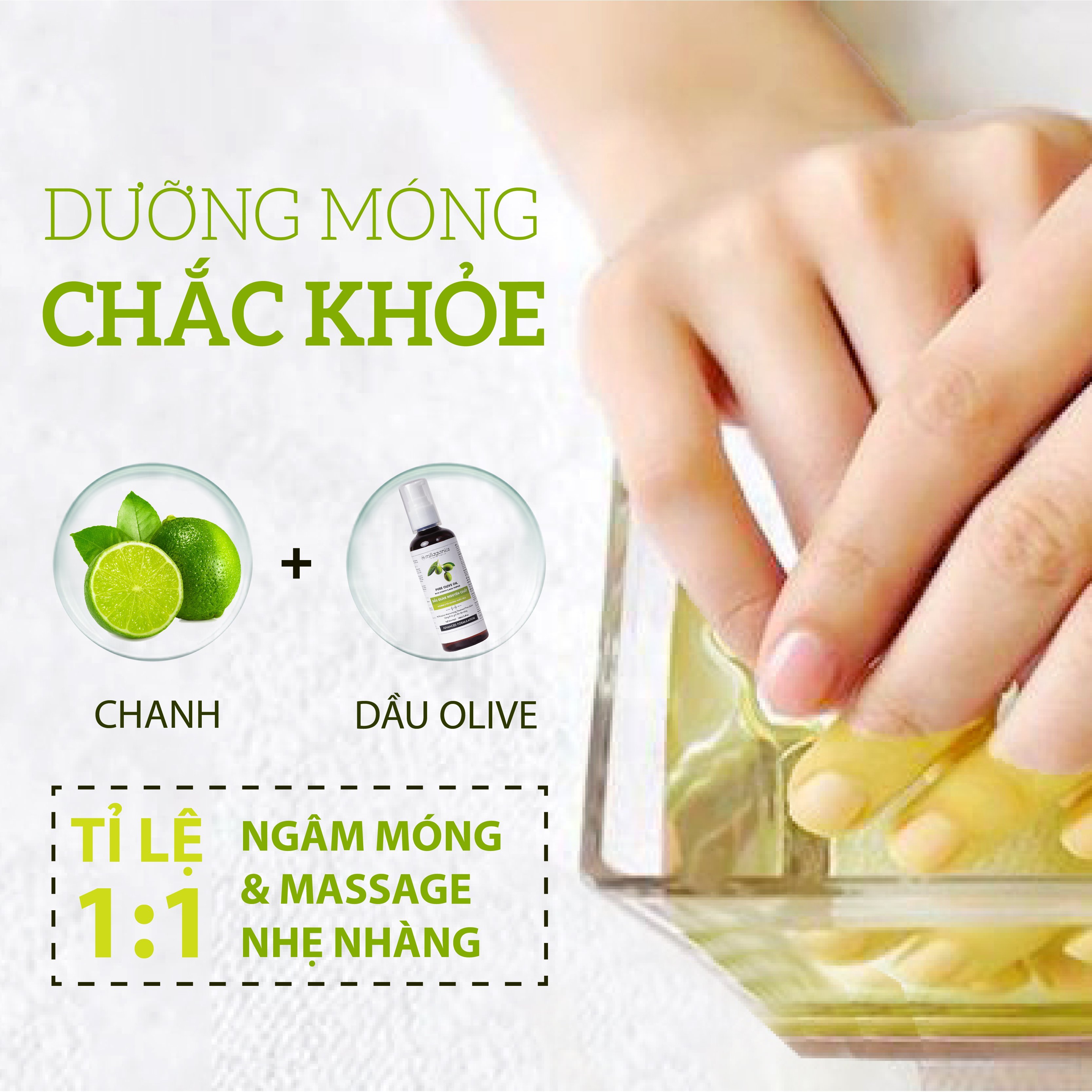 Dầu Oliu Extra Virgin Nguyên Chất Dưỡng Da, Dưỡng Tóc, Giảm Thâm Môi MILAGANICS 100ml (Chai