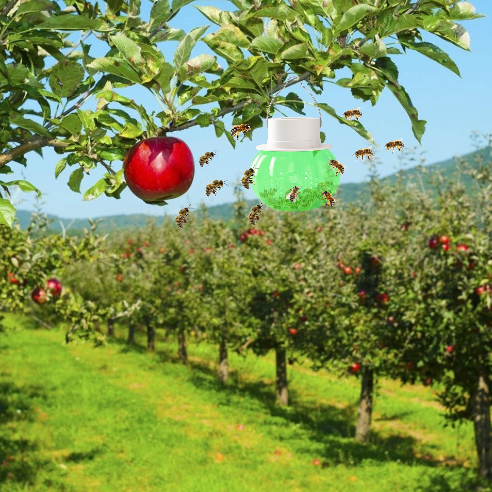 Bẫy ong thu sáp ngoài trời