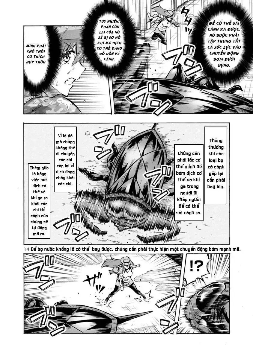 Siêu Đảo Côn Trùng chapter 19.2 14