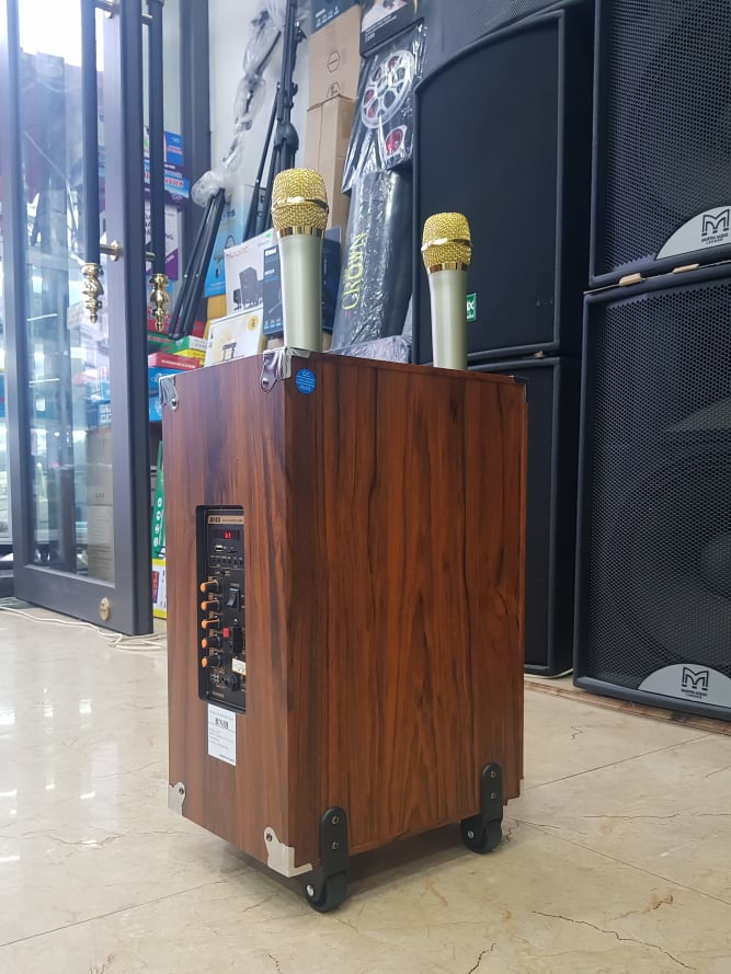 Loa kéo Karaoke Bluetooth BNIB M10: Bass 25, Có 2 Micro không dây đi kèm