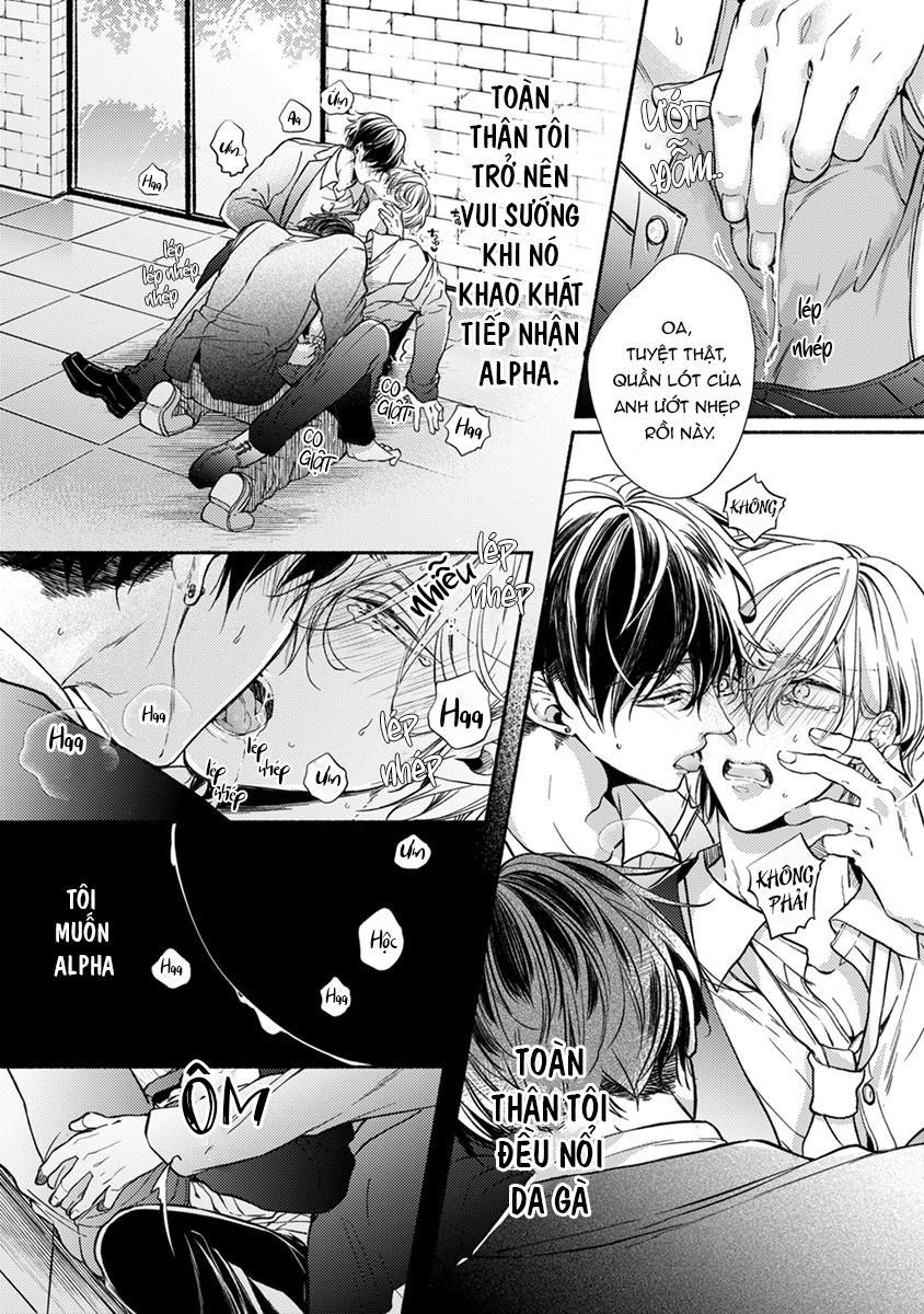 omega giả vờ kiên cường đó là bạn tình của tôi chapter 1 13