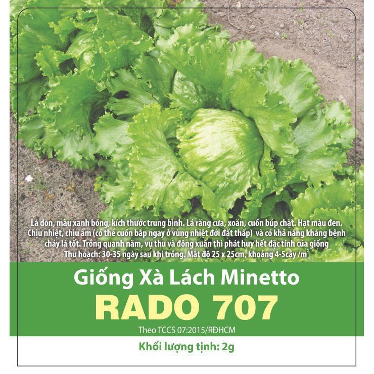 hạt giống Xà lách Minetto 707 (2g)