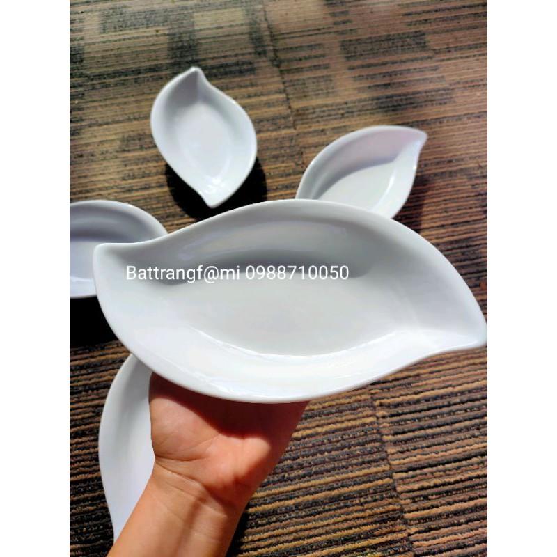 Bộ đĩa thuyền Hoa