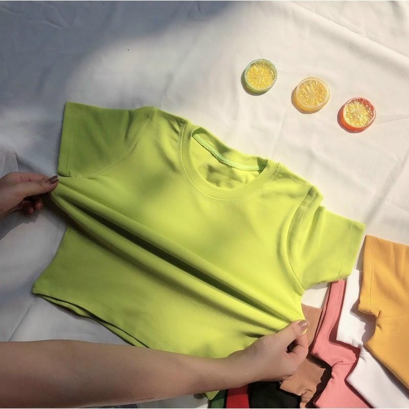 Áo thun trơn body tay ngắn chất borip co giãn nhẹ