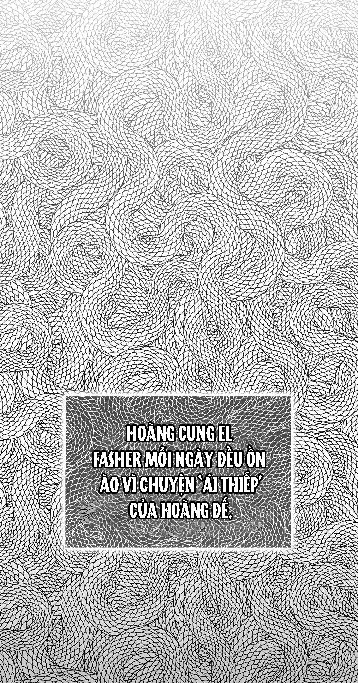 hai đất nước, đất nước của nô lệ chapter 20 10