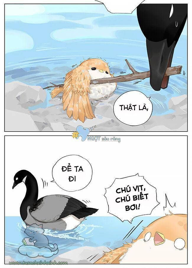 chim sẻ gọi ngỗng trời chapter 8 5