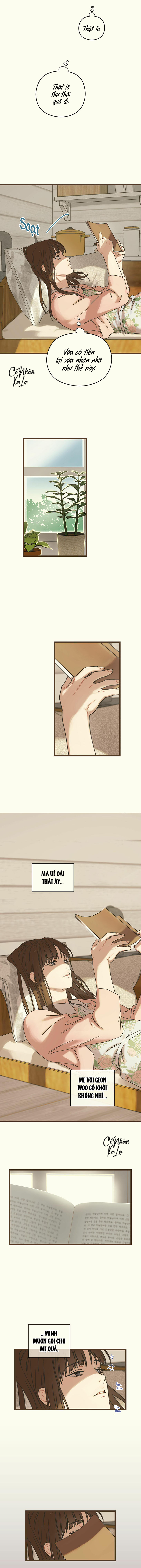 trùng phùng chapter 3 8