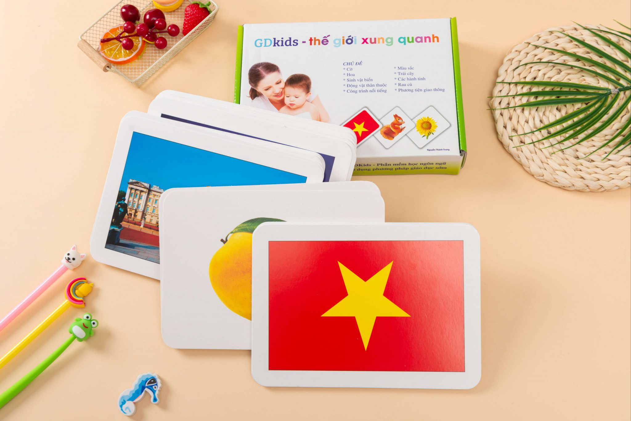 GDKIDS Thế giới xung quanh (Bộ 100 Thẻ) – Flashcard Glenn Doman