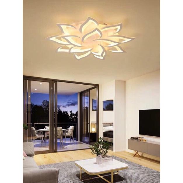 Đèn trần,đèn tô điểm phòng khách,đèn áp trần, đèn ốp trần, đèn trang trí, đèn decor DT