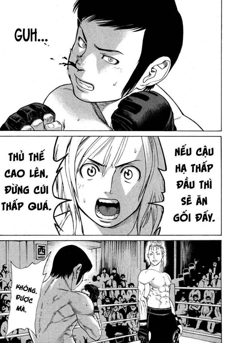 karate shoukoushi kohinata minoru chapter 186 15