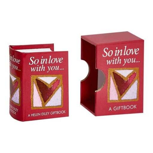 Sách So In Love With You - Exley