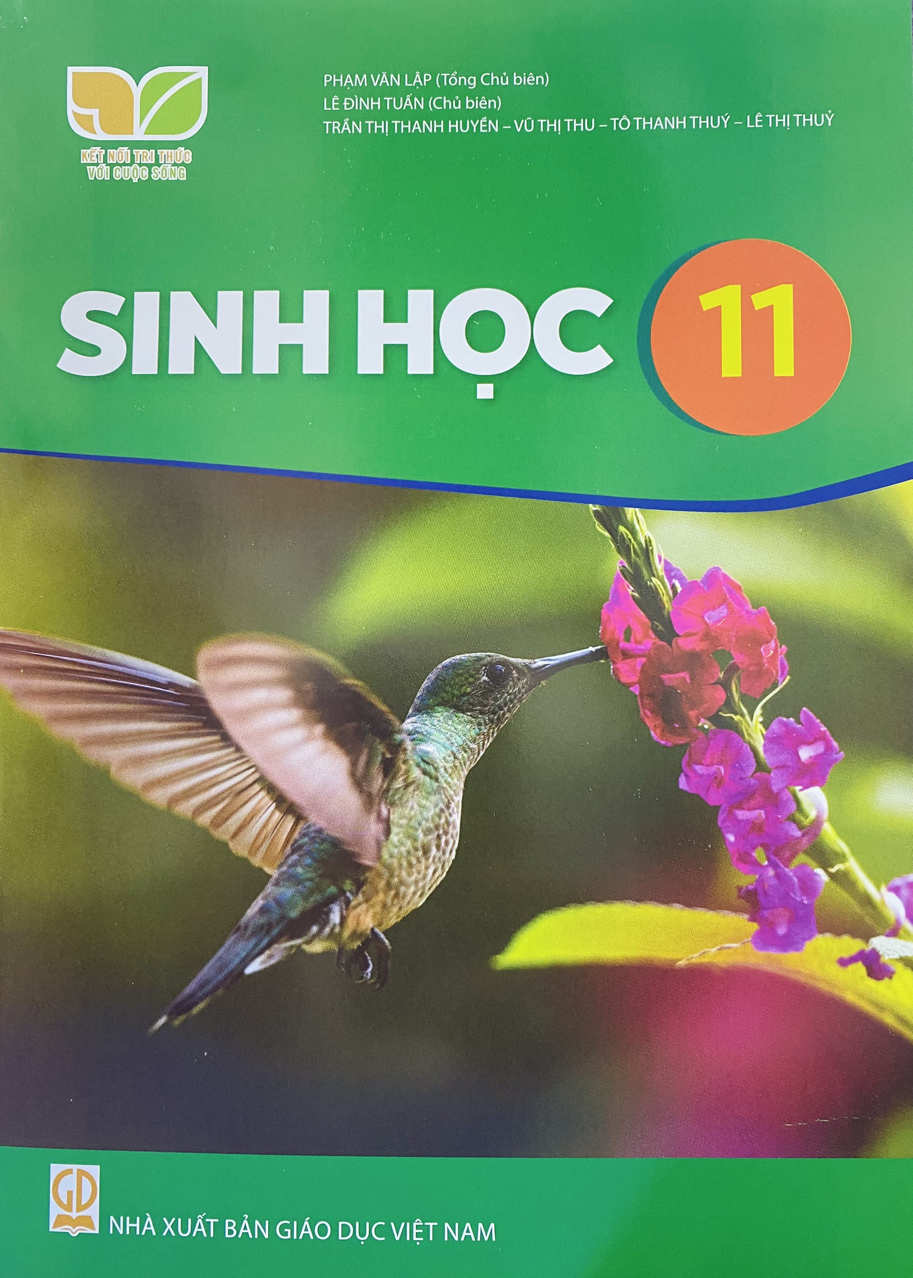 Combo 3 cuốn sách giáo khoa Vật lí+Hóa học+Sinh học lớp 11 (Kết nối tri thức)