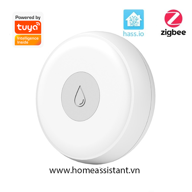 Cảm Biến Báo Động Rò Rỉ Nước Tràn Zigbee Tuya ZHS01