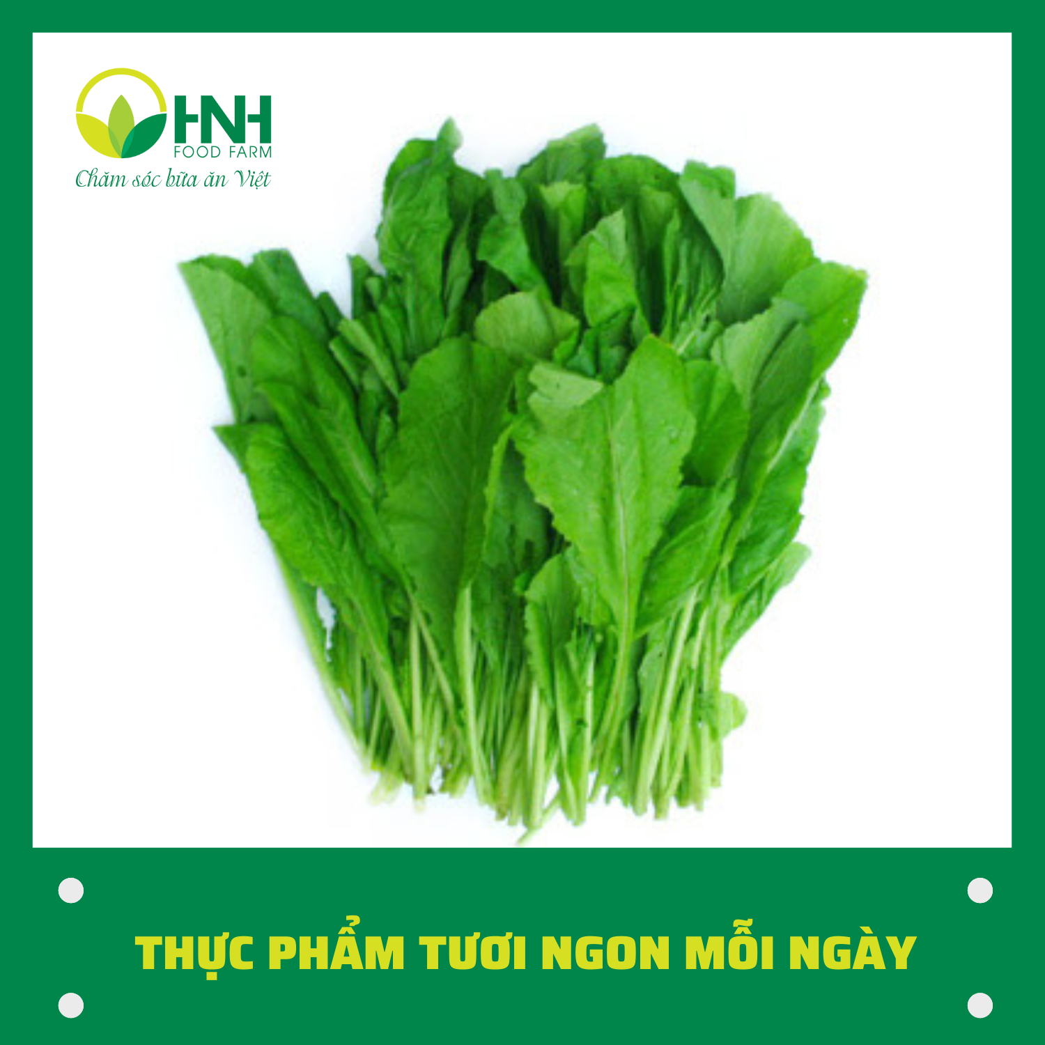 Cải canh 1kg sạch ngon - HNH Food Farm