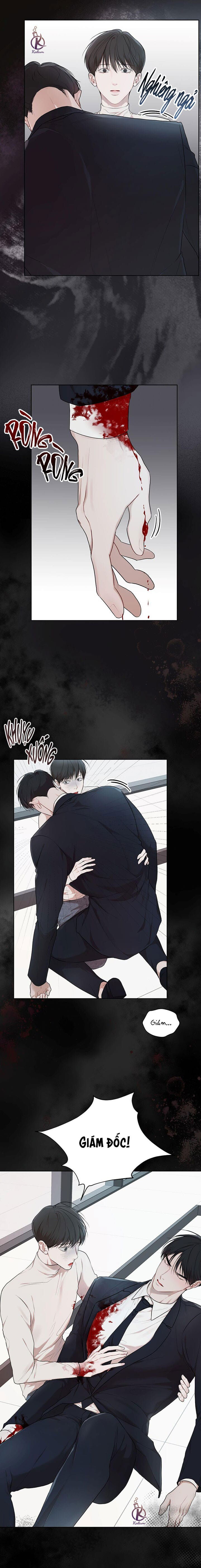 hình thái khởi sinh chapter 62 12